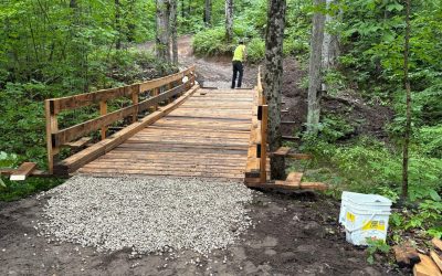 Bridge on Trail 14