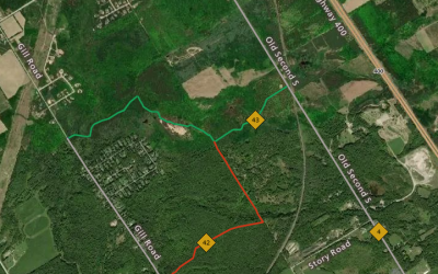 Logging Operations in Williams #42
