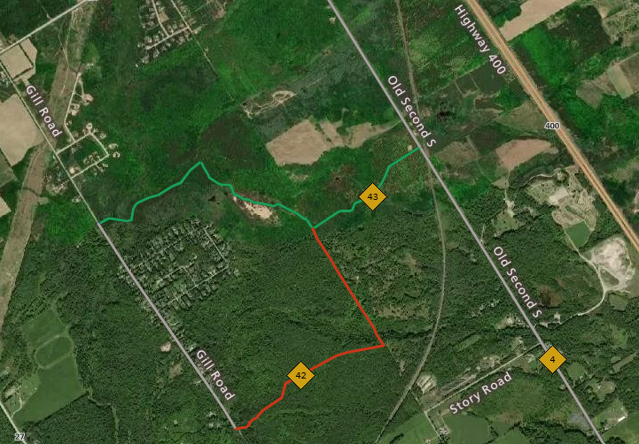 Williams Track